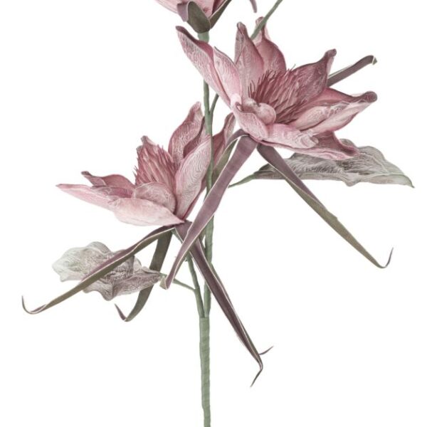 EPIPHY HUM X3 ROSA CM ? 35X98 MIN 8